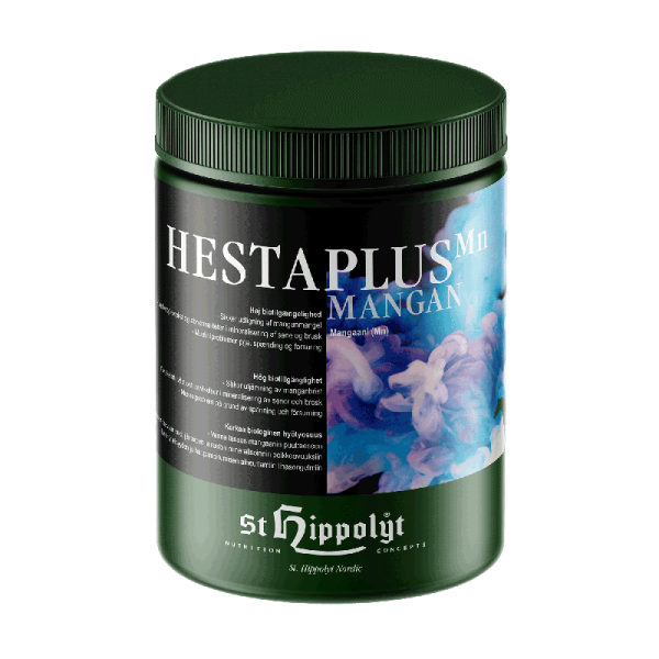 St. Hippolyt Hestaplus Mangan