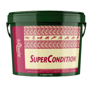St. Hippolyt SuperCondition spand