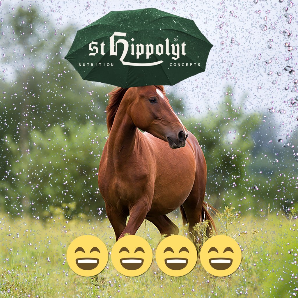 St. Hippolyt Horse Dry and Shine