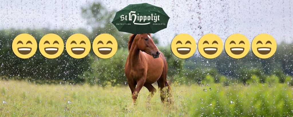 St. Hippolyt Horse Dry and Shine