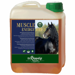 Muscle Energy Boost, 2,5 liter