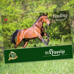 St. Hippolyt hovedkatalog, 1 stk