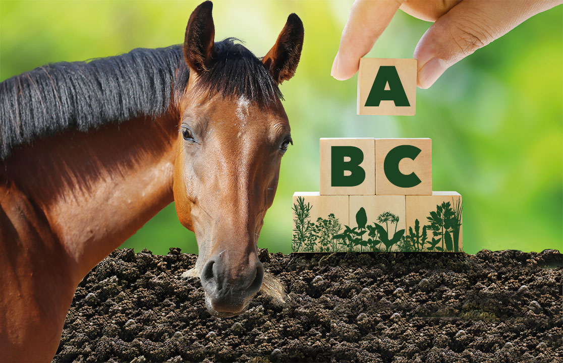 Hestefodringens ABC
